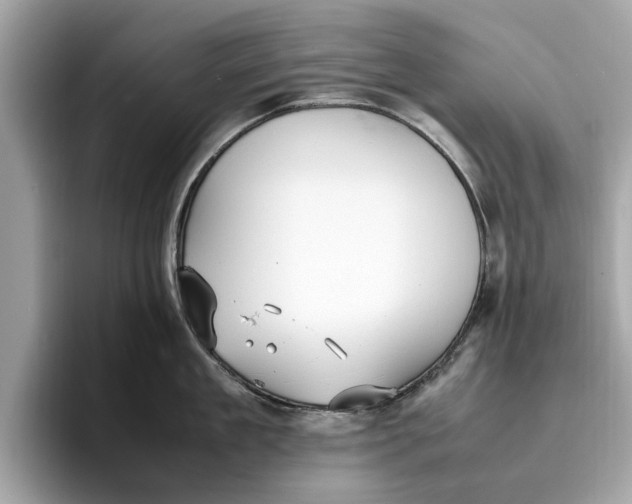 X0000096650909200802261318