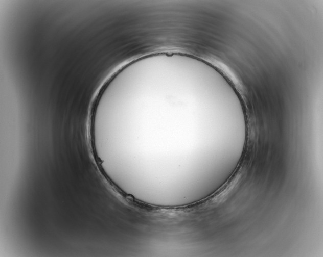 X0000096650910200802261318