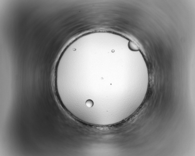 X0000096650911200802261318