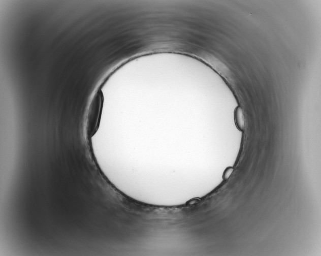 X0000096650912200802261318