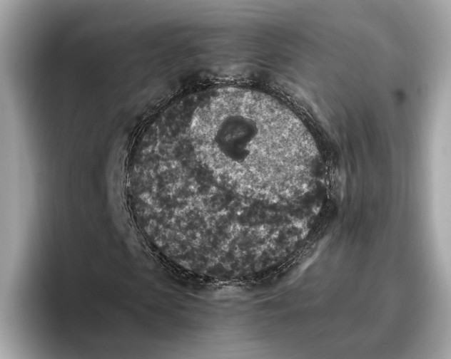 X0000096650913200802261317