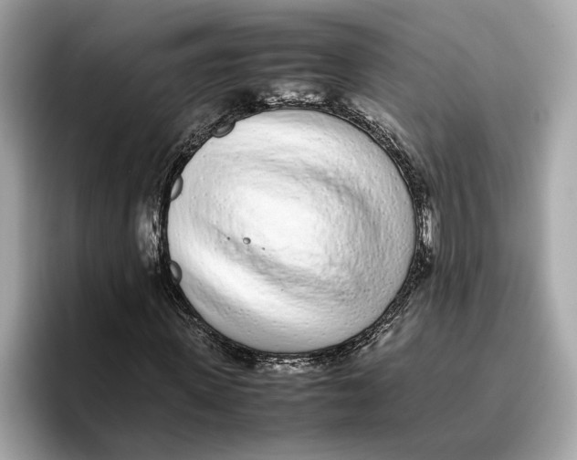 X0000096650915200802261317