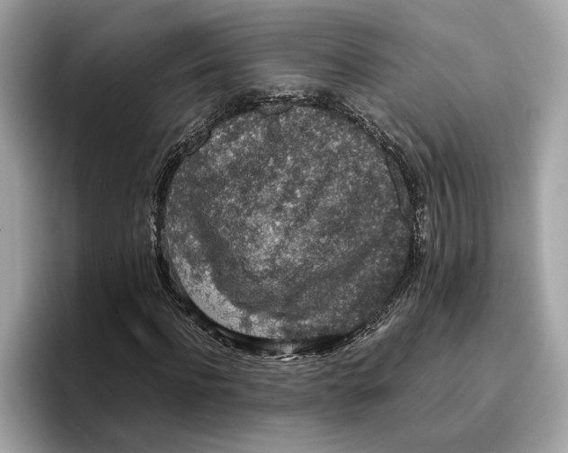 X0000096650916200802261317