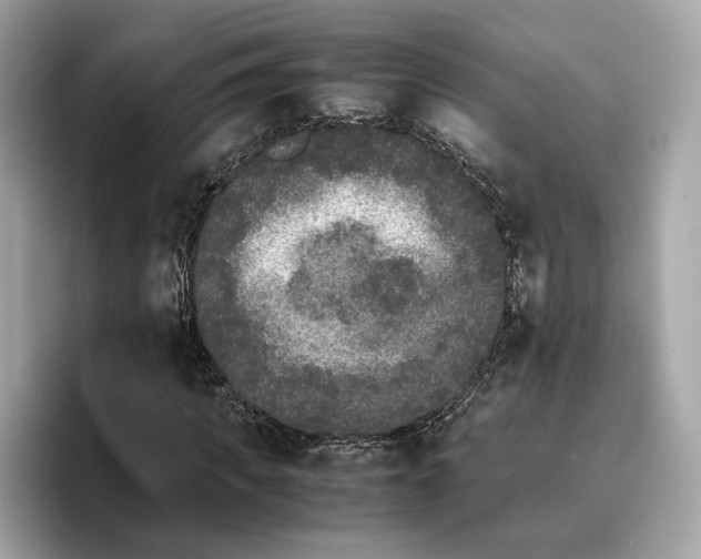 X0000096650917200802261317