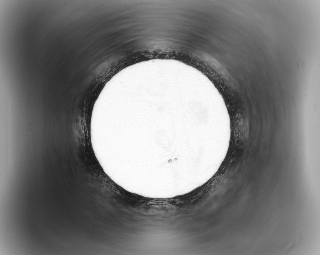 X0000096650918200802261317