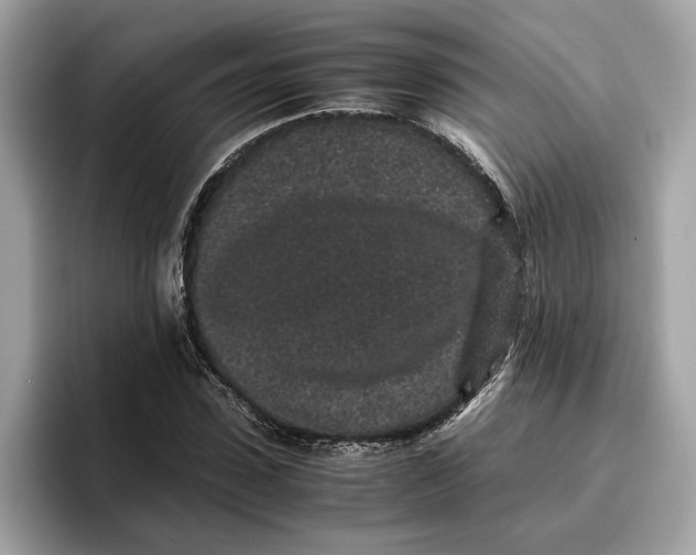 X0000096650923200802261317