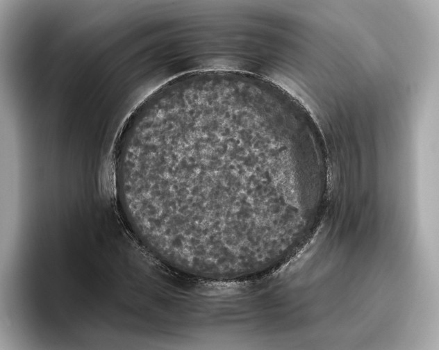 X0000096650925200802261317