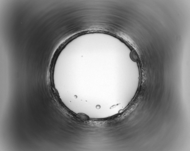 X0000096650928200802261317