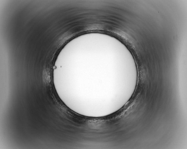 X0000096650929200802261317