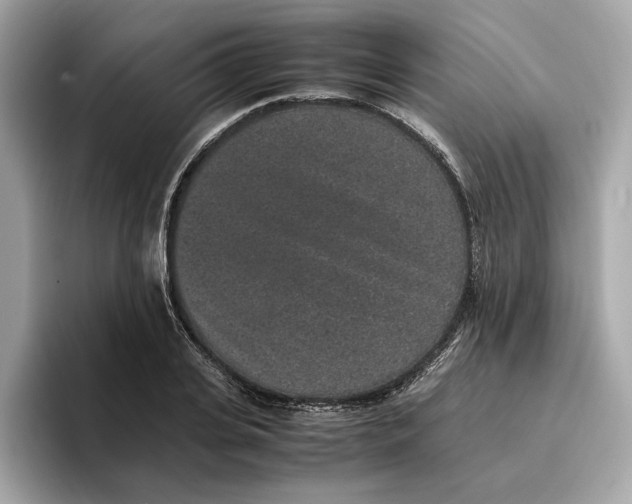 X0000096650935200802261317