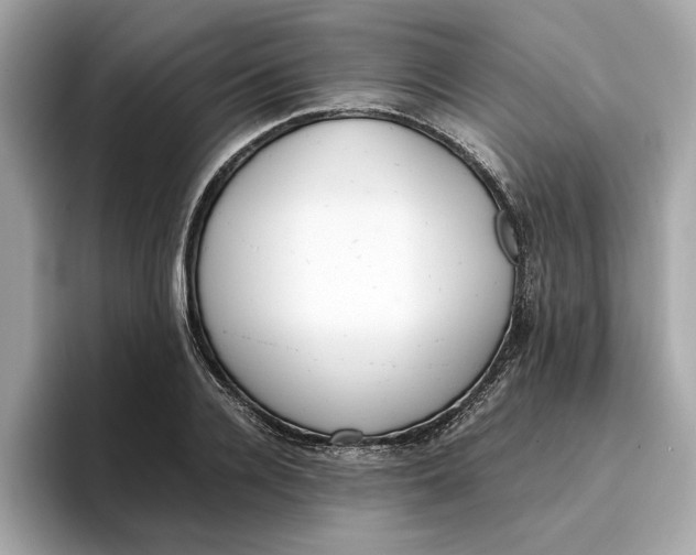 X0000096650936200802261317