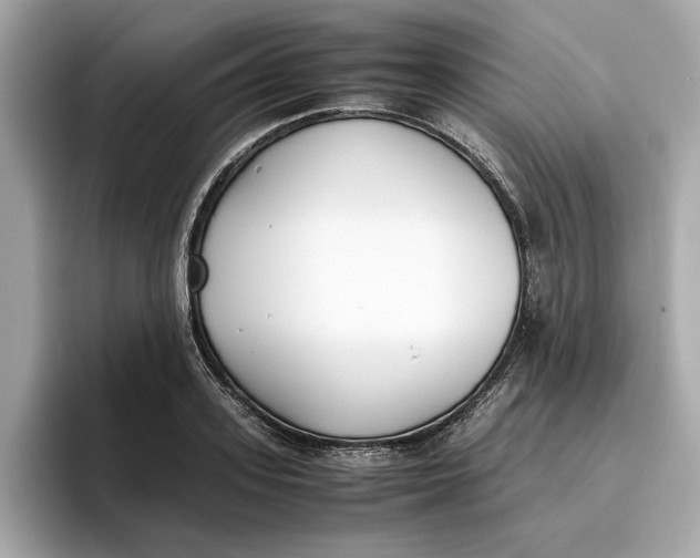 X0000096650939200802261317