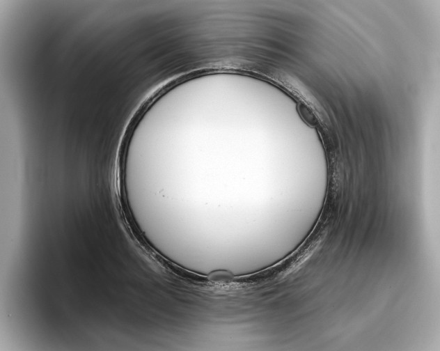 X0000096650940200802261317