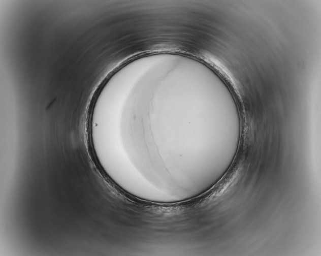 X0000096650941200802261317