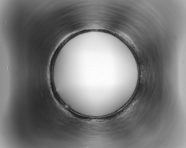 X0000096650942200802261317