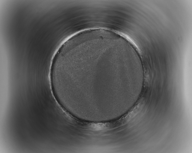 X0000096650943200802261317