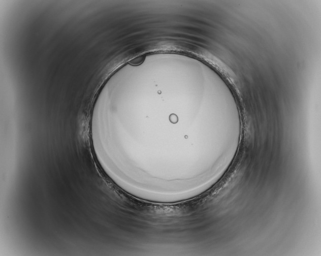 X0000096650945200802261317