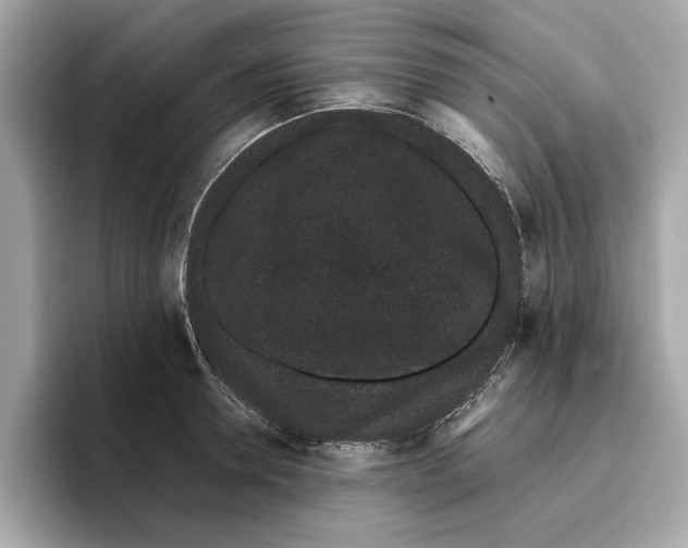 X0000096650946200802261317