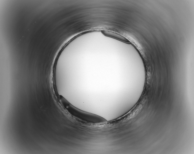 X0000096650948200802261317