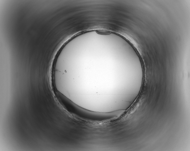 X0000096650949200802261317