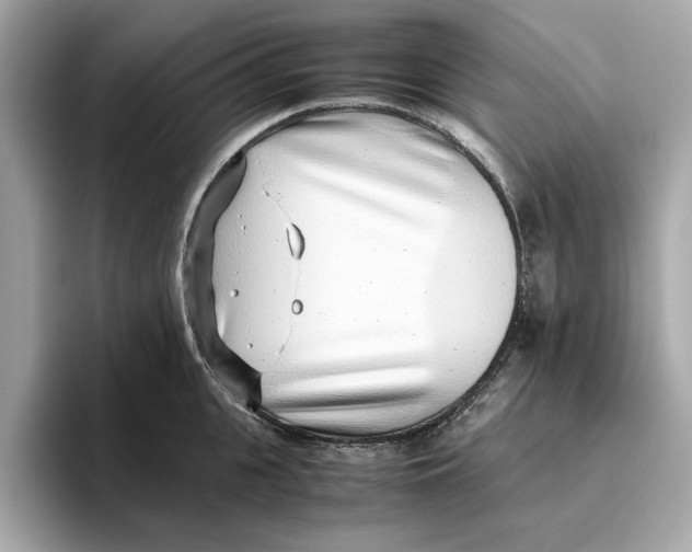 X0000096650951200802261317