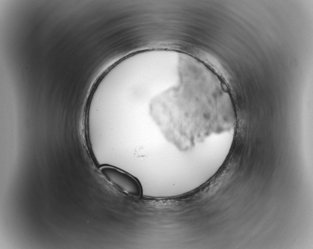 X0000096650952200802261317