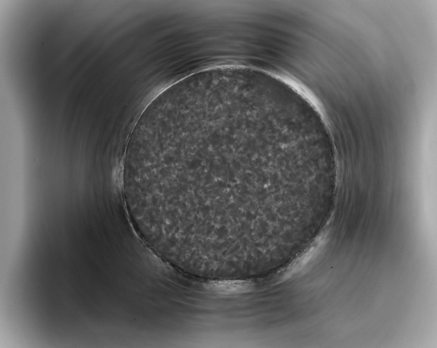 X0000096650953200802261317