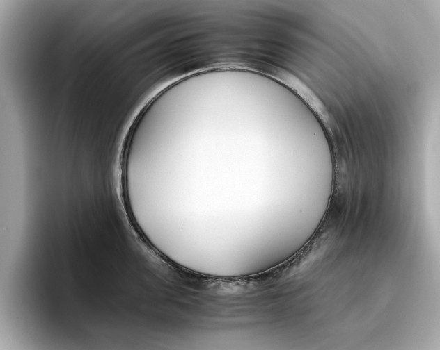 X0000096650955200802261317