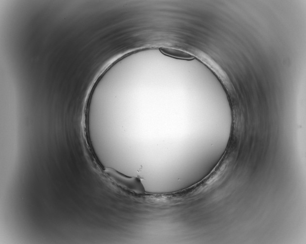 X0000096650956200802261317