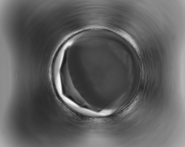 X0000096650958200802261317