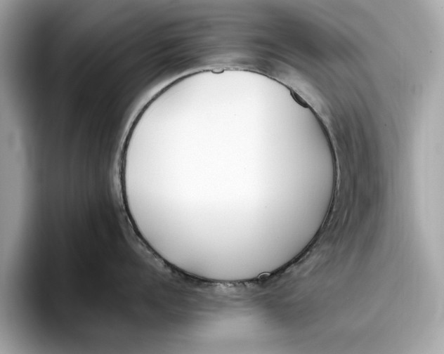 X0000096650960200802261318