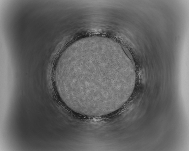 X0000096650961200802261317