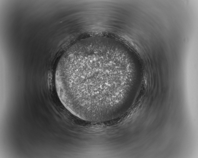 X0000096650964200802261317