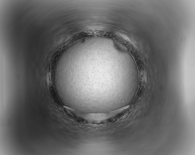 X0000096650965200802261317