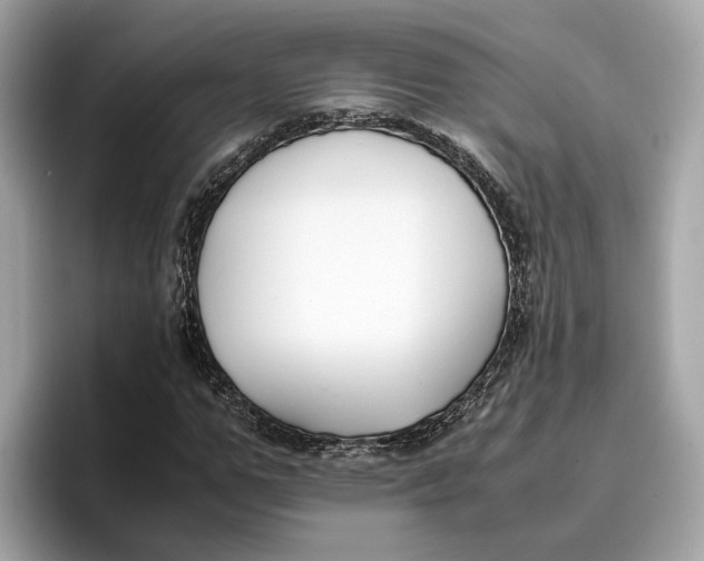 X0000096650967200802261317