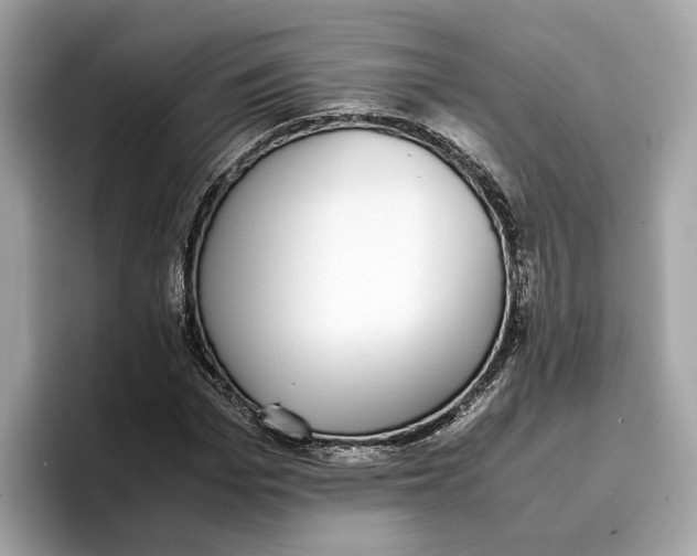 X0000096650969200802261317