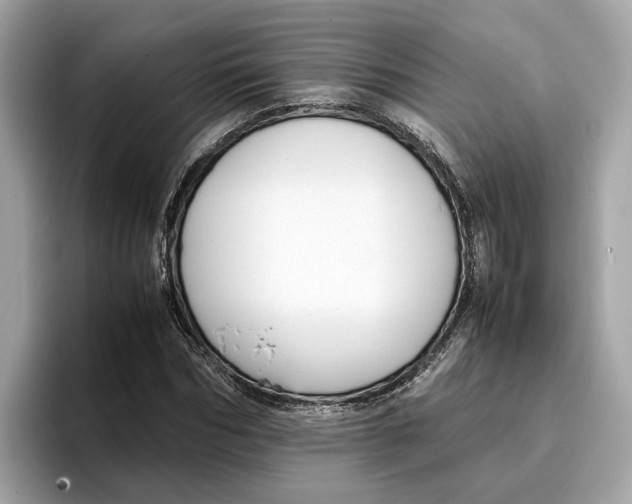 X0000096650970200802261317