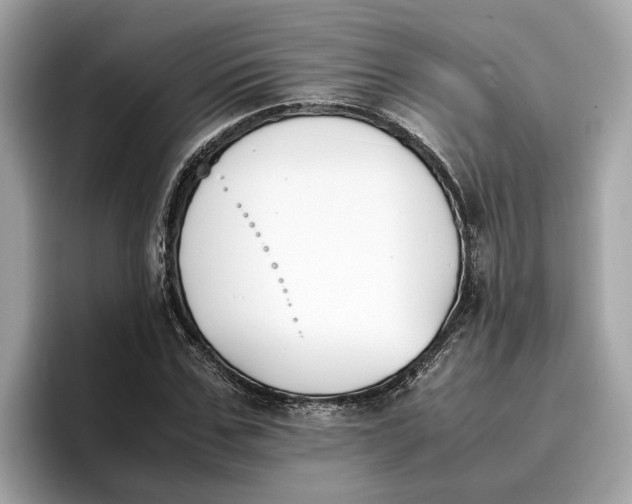 X0000096650971200802261317