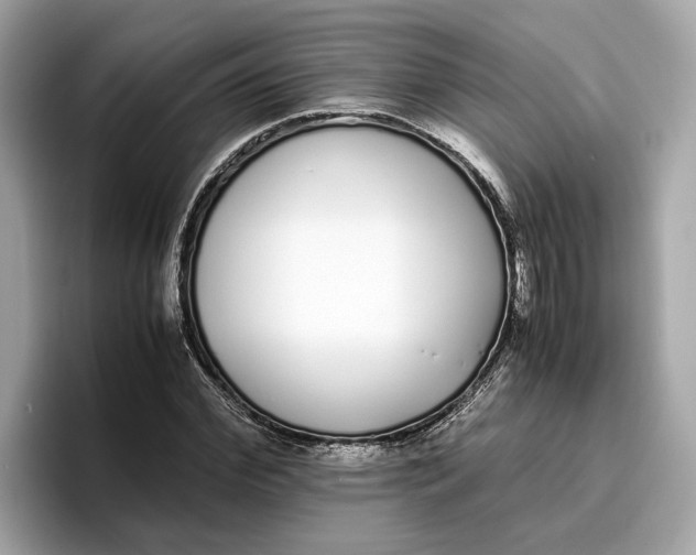 X0000096650972200802261317