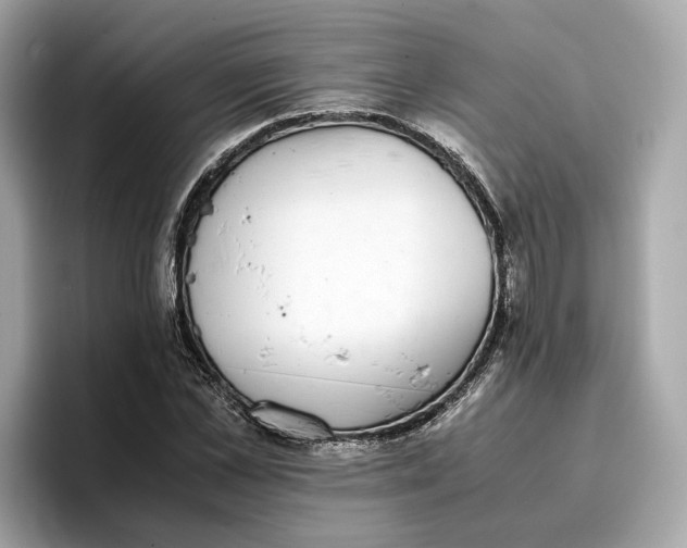 X0000096650973200802261317