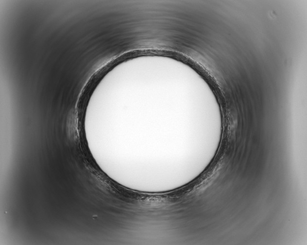 X0000096650974200802261317