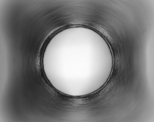 X0000096650976200802261317