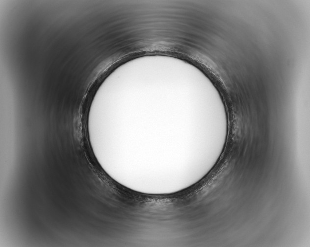 X0000096650978200802261317