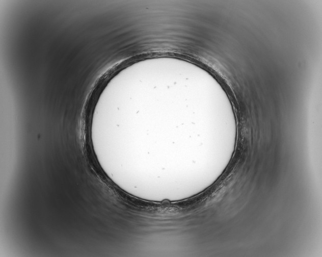 X0000096650979200802261317