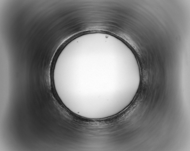 X0000096650980200802261317