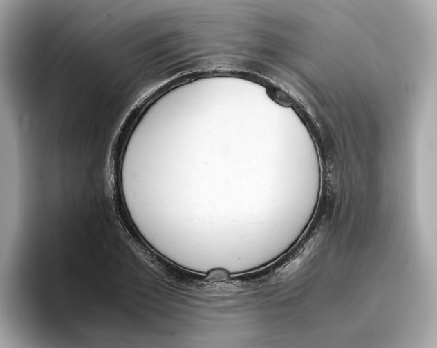 X0000096650981200802261317