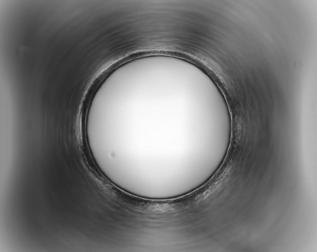 X0000096650982200802261317