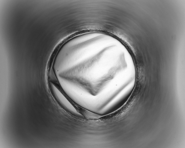 X0000096650983200802261316