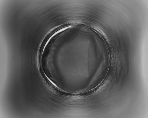 X0000096650984200802261316