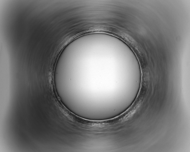 X0000096650985200802261316